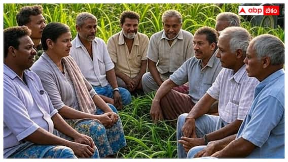 ਸਰਕਾਰ ਨੇ ਕਣਕ ਸਣੇ ਇਨ੍ਹਾਂ 6 ਫਸਲਾਂ 'ਤੇ ਵਧਾਈ MSP, ਦਿਵਾਲੀ ਤੋਂ ਪਹਿਲਾਂ ਕਿਸਾਨਾਂ ਨੂੰ ਤੋਹਫਾ