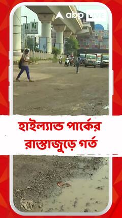 বেহাল রাস্তা, হাইল্যান্ড পার্কের রাস্তাজুড়ে গর্ত