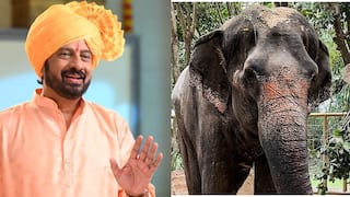 Kolhapur Nandani Mahadevi Elephant: 'वनतारा'ला नांदणीची महादेवी हत्तीणच का हवी होती? किरण मानेंनी सांगितलं मोठं कारण