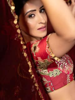 Actress Anshu: బ్యూటిఫుల్ లుక్‌లో మన్మథుడు హీరోయిన్ - అందాల అన్షు చూపులతోనే కట్టిపడేస్తుందిగా...