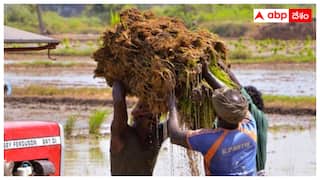 PM Kisan Yojana: పీఎం కిసాన్ యోజన నిధులు విడుదల- ఒక్కోరైతు ఖాతాలో 2 వేల రూపాయలు జమ