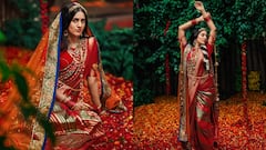 Niharika Konidela: రాకుమారిలా ముస్తాబైన నిహారిక... చీరలో ఎంత సక్కగుందో