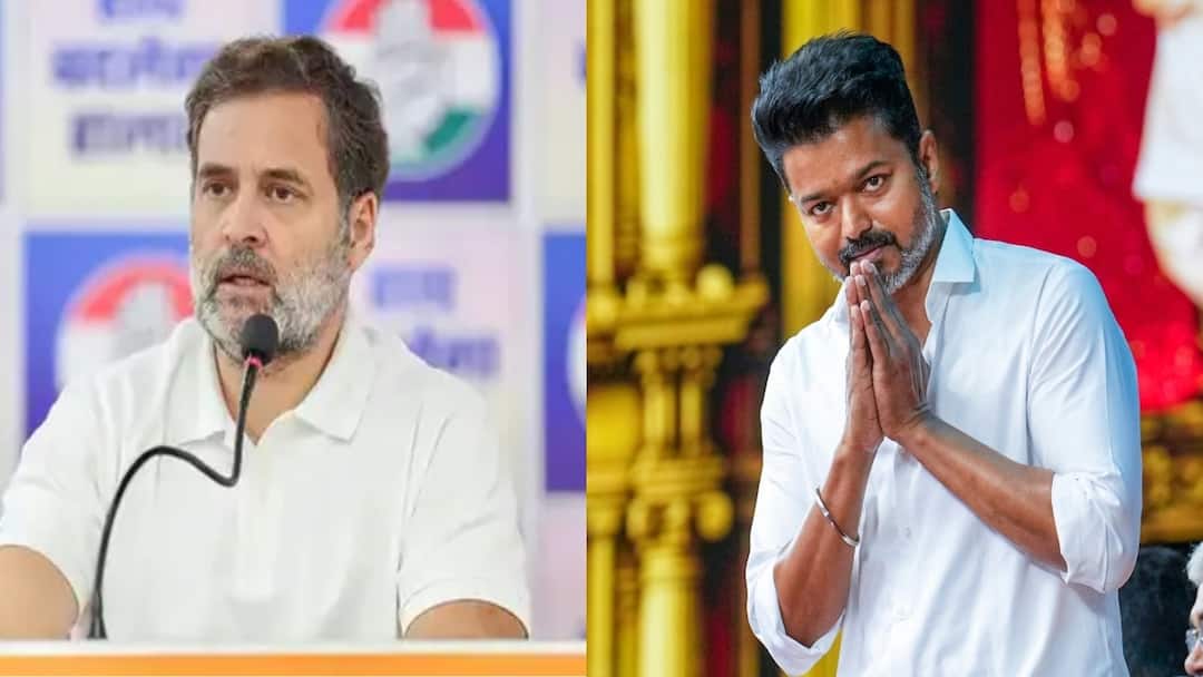 TVK Vijay: விஜய்யுடன் கூட்டணி வைங்க.. தமிழக காங்கிரசிடம் அடம்பிடிக்கும் கேரள காங்கிரஸ் - இதான் விஷயமா?