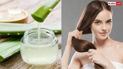 सिर्फ स्किन नहीं, बालों के लिए भी वरदान है एलोवेरा..जानिए इसके 5 जबरदस्त फायदे