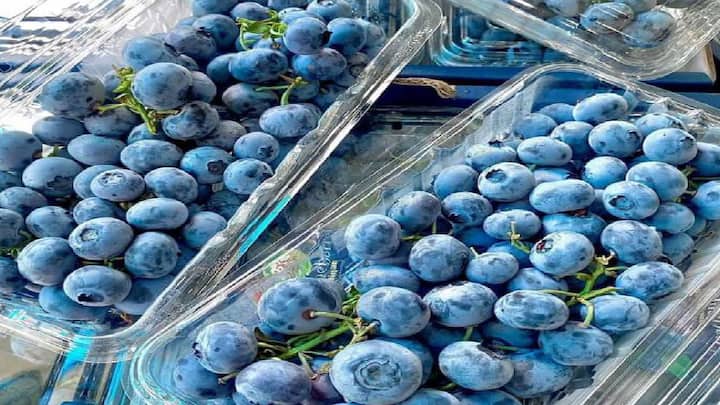 फ्लेव्होनॉइड्स उच्च रक्तदाब कमी करू शकतात, म्हणून त्यांना स्नॅक्स म्हणून खाण्यास घाबरू नका.