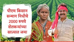 पीएम किसानचा 20 वा हप्ता जारी, 2000 रुपये किती शेतकऱ्यांना मिळाले? सरकारकडून आकडेवारी जाहीर