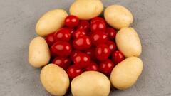 Science News: আলু আসলে বন্যপ্রেমের ফসল, টমেটো তার মা, ৯০ লক্ষ বছর আগে আবির্ভাব পৃথিবীতে