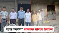 अशी ही बोगसगिरी... बड्या कंपनीच्या एक्स्पायर सीमेंटचं रिपॅकिंग; पोलिसांकडून दोघांना अटक, 1446 पोती जप्त