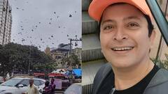 'त्यांना कबुतर हा पक्षी कुठल्या एका धर्माचा वाटत असेल तर..', दादरमधील कबुतरखान्याबाबत अभिजीत केळकरची पोस्ट