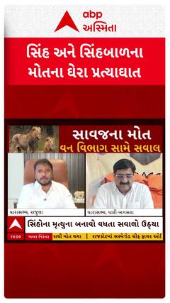 Amreli News: અમરેલીના જાફરાબાદ રેન્જમાં સિંહબાળ અને સિંહોના મોતના ઘેરા પ્રત્યાઘાત પડ્યા