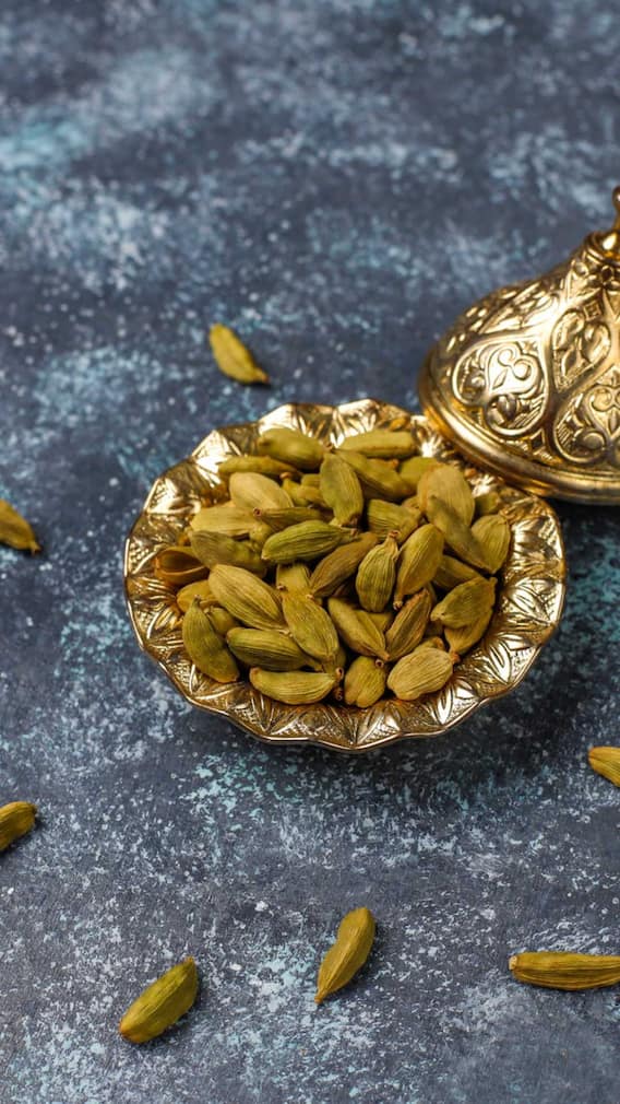 गमले में कैसे लगाएं इलायची का पौधा?