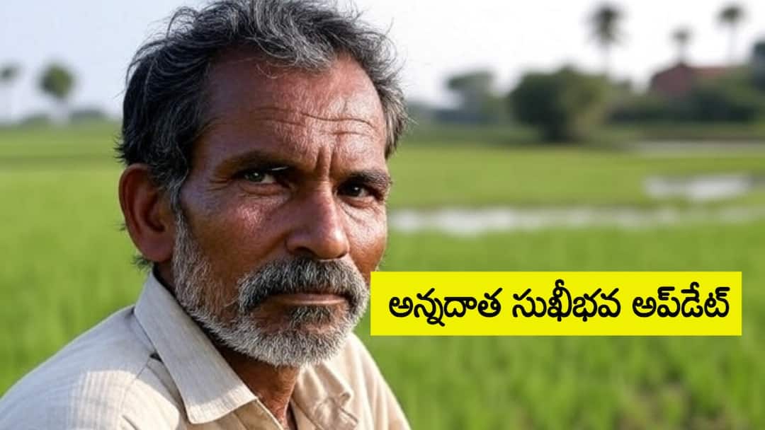 Annadata Sukhibhava Payment Status money not credited for Election code area farmer and E KYC issues Annadata Sukhibhava Status: ఆ రైతుల ఖాతాల్లో మాత్రమే నగదు జమ కాలేదు- అన్నదాత సుఖీభవపై కీలక అప్‌డేట్