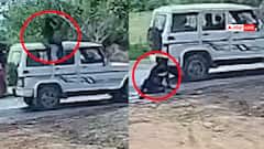 Video: रॉन्ग साइड से आ रही बोलेरो ने बाइक को मारी जोरदार टक्कर, उछलता हुआ पीछे जा गिरा युवक,  वीडियो वायरल