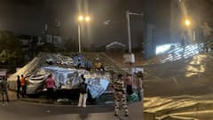 दादरचा कबुतरखाना BMC ने ताडपत्री टाकून बंद केला, धान्य टाकणाऱ्यांवर गुन्हा दाखल करण्याचा इशारा