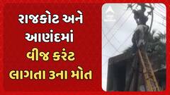 Three Dies Of Electrocution: રાજકોટ અને આણંદમાં વીજ કરંટ લાગતા 3ના મોત
