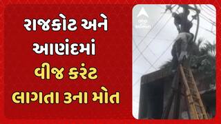 Three Dies Of Electrocution: રાજકોટ અને આણંદમાં વીજ કરંટ લાગતા 3ના મોત