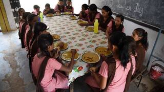 78 Students Given Anti-Rabies Injection After Dog Contaminates Mid-Day Meal In Chhattisgarh