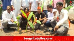 লেকটাউনে বেহাল রাস্তায় কলা গাছ পুঁতে প্রতিবাদ BJP-র,  'আমাদের পাড়া, আমাদের সমাধান করবে কে ? '