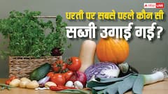 पृथ्वी पर सबसे पहले उगाई गई थी कौन-सी सब्जी? आज भी 99 पर्सेंट लोगों की फेवरेट