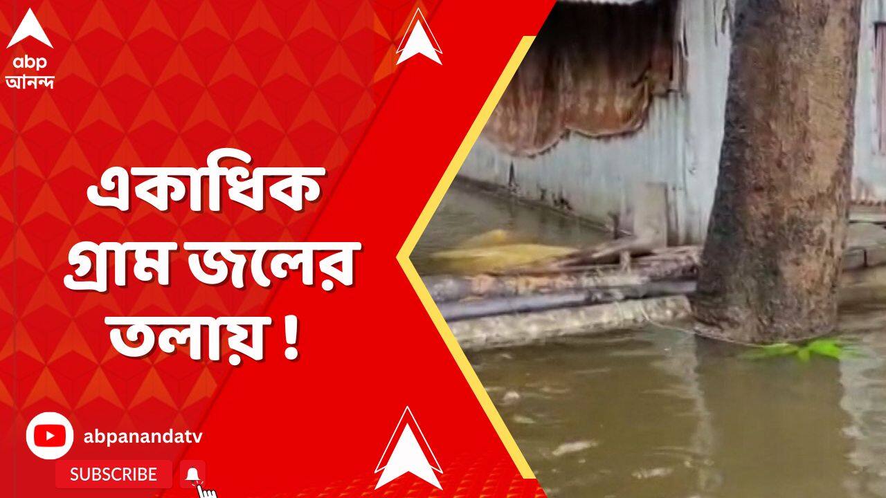 Flood Situation: গোবরডাঙা বেড়িগোপালপুর রাজ্য সড়কে নেমেছে নৌকা ! কী অভিযোগ স্থানীয়দের ?