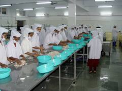 Blue Economy: ગુજરાત દરિયાઈ માછલીના ઉત્પાદનમાં સમગ્ર દેશમાં બીજા સ્થાન પર