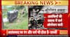 Operation Akhal Ongoing in Kulgam Forests: 3 Militants Neutralized, Search for Others Continues | ABP NEWS