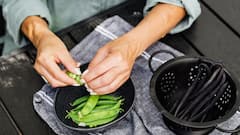 पृथ्वी पर सबसे पहले उगाई गई थी कौन-सी सब्जी? आज भी 99 पर्सेंट लोगों की फेवरेट