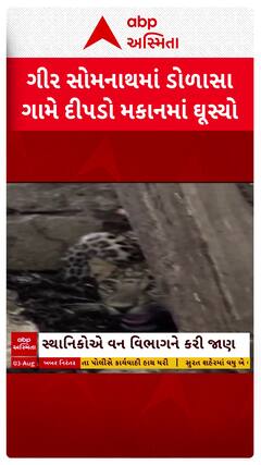 Leopard Video: ગીર સોમનાથના કોડીનારના ડોળાસા ગામે દીપડો મકાનમાં પ્રવેશ્યો