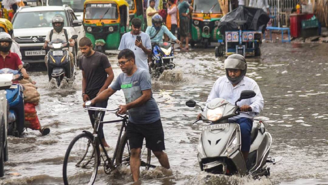 VIDEO: बारिश के बाद पटना जंक्शन के बाहर जलजमाव की समस्या से जूझते लोग, कहां गए नगर निगम के दावे? waterlogging in Patna junction and many low lying areas Due to heavy rain VIDEO: बारिश के बाद पटना जंक्शन के बाहर जलजमाव की समस्या से जूझते लोग, कहां गए नगर निगम के दावे?