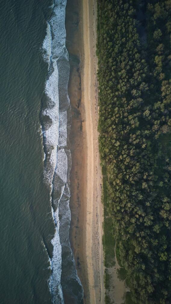 भारत के कितने राज्य समंदर से सटे हुए हैं?