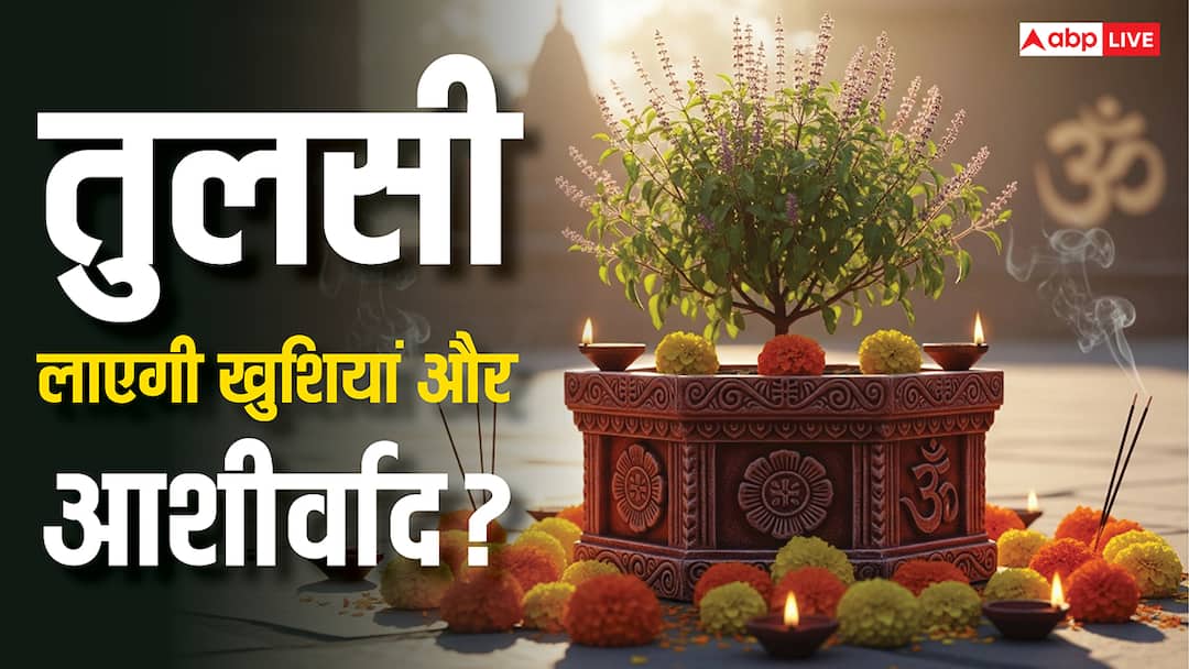 Tulsi Plant Rules: तुलसी के पौधे से नहीं मिलेगा आशीर्वाद, अगर करेंगे ये गलतियां! Tulsi Niyam Avoid making these mistakes you will not get blessings Tulsi Plant Rules: तुलसी के पौधे से नहीं मिलेगा आशीर्वाद, अगर करेंगे ये गलतियां!