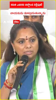 Kavitha Comments on Lilliput Leader