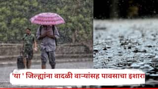 Weather Update: विदर्भ मराठवाड्यातील 'या ' जिल्ह्यांना वादळी वाऱ्यांसह पावसाचा इशारा ; पुढील 2 दिवस कुठे काय स्थिती?