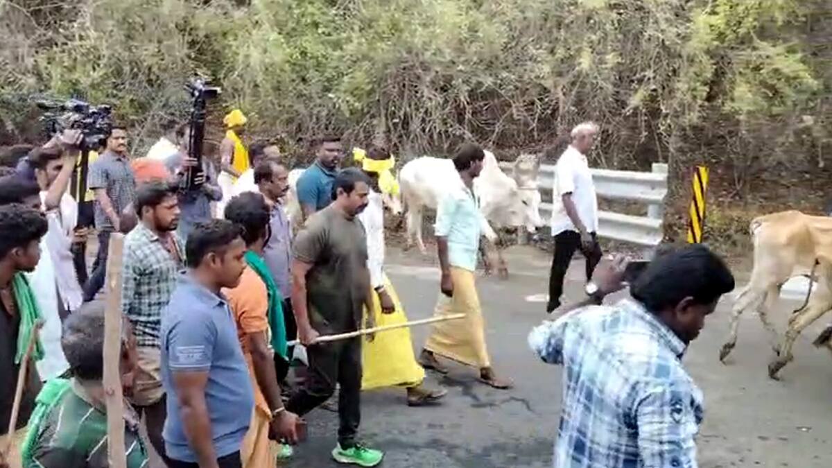 சீமான்  போராட்டம்: வனத்துறைக்கு எதிராக மாடு மேய்த்ததால் பரபரப்பு! போடிநாயக்கனூரில் நடந்தது என்ன?