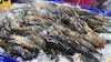 Indian Seafood Industry Hit As US Tariffs, Duties Threaten Shrimp Exports
