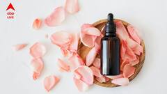 সপ্তাহে অন্তত ২-৩ বার চুলে এবং স্ক্যাল্পে অয়েল ম্যাসাজ কেন জরুরি? কী কী উপকার পাবেন