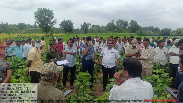मात्र, वनविभागाने अद्याप कोणतीही ठोस कारवाई केली नसल्यामुळे ग्रामस्थांमध्ये भीतीचं वातावरण पसरलं आहे.
