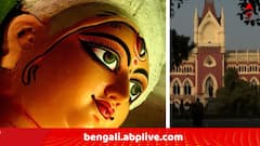 রাজ্যের ১ লাখ ১০ হাজার টাকা দেওয়ার সিদ্ধান্তের বিরোধিতা, দুর্গাপুজোর অনুদান নিয়ে ফের মামলা কলকাতা হাইকোর্টে