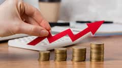 Nifty Earnings To See 10 Per Cent Growth In FY26 Vs 1 Per Cent Last Year, Says Report