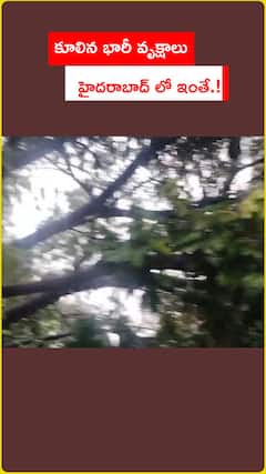 కూలిన భారీ వృక్షం..వర్షమొస్తే హైదరాబాద్ లో ఇంతే