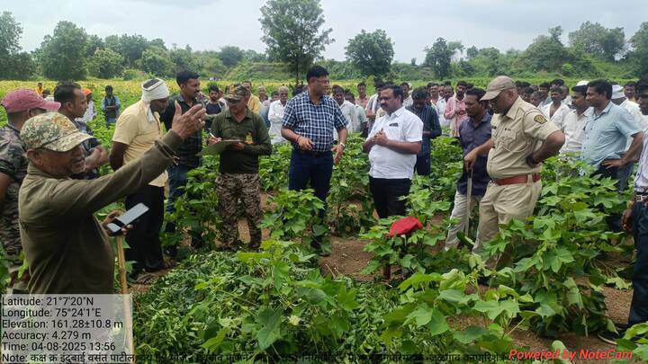 घटनेनंतर गावकऱ्यांनी तत्काळ इंदुबाई यांना जळगावच्या जिल्हा शासकीय व वैद्यकीय रुग्णालयात दाखल केलं. मात्र, डॉक्टरांनी त्यांना मृत घोषित केलं.