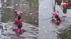 Video: बाढ़ में डूबे पिता ने वसुदेव की तरह बच्चे को बचाया, तौलिये में लपेट ऊपर उठाया, देखें वीडियो