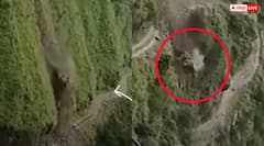 ਜੇਸੀਬੀ ਬੁਲਡੋਜ਼ਰ ਸਮੇਤ 300 ਮੀਟਰ ਡੂੰਘੀ ਖਾਈ ਵਿੱਚ ਡਿੱਗਿਆ ਵਿਅਕਤੀ, ਤੁਹਾਡੇ ਰੋਂਗਟੇ ਖੜ੍ਹੇ ਕਰ ਦੇਵੇਗੀ ਮੌਤ ਦੀ ਲਾਈਵ ਵੀਡੀਓ !