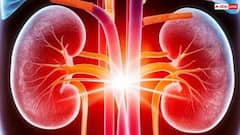 Kidney Care : মুখে এই লক্ষণ নেই তো ? আপনার কিডনি কেমন আছে বলে দেবে এই উপসর্গ