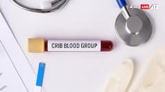 CRIB Blood Group Explained: Karnataka Woman Is World’s First With This Rare Type