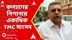 Kalyan Banerjee: 'শুধু আমার দোষ দেখতে পান মমতাদি', কল্যাণের নিশানায় একাধিক TMC সাংসদ