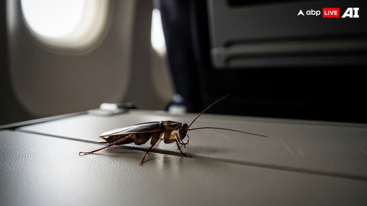 Air India Flight’s Viral Cockroach Drama: The Funniest Logbook Entry You’ll Read This Week Air India Flight’s Viral Cockroach Drama: The Funniest Logbook Entry You’ll Read This Week