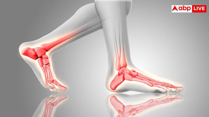 साइंस लगातार तरक्की कर रहा है, ऐसी ही एक नई खोज अंडे और मछलियों से जुड़ी की गई है, जिससे इंसानों की हड्डियां जोड़ी जाएंगी. चलिए, आपको बताते हैं इसके बारे में.