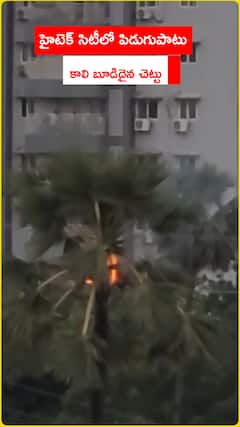 హైటెక్ సిటీలో పిడుగుపాటు..కాలి బూడిదైన చెట్టు