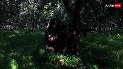 जम्मू-कश्मीर के कुलगाम में चौथे दिन भी जारी रहा ऑपेरशन अखल, 2025 का सबसे लंबा सैन्य अभियान